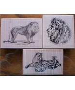 LOT OF 3 RUBBER STAMPS LION, LIONESS CUBS - €19,16 EUR
