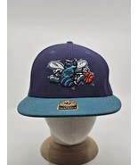 47 Brand Charlotte Hornets Teal Purple Adjustable Snapback Hardwood Clas... - €21,18 EUR