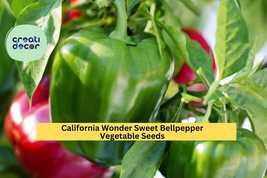 California Wonder 300 Sweet Bell Pepper Seeds – 300mg for Planting, Heir... - $5.85+