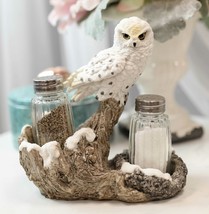 Snow White Owlet Owl On Snowy Branch Glass Salt Pepper Shakers Holder Figurine - £23.50 GBP