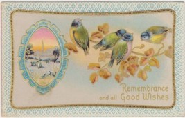 Remembrance and all Good Wishes Postcard 4 Birds in Tree #2 - $2.99