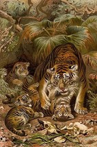 Tiger with Cubs by Friedrich Wilhelm Kuhnert - Art Print - £16.43 GBP+