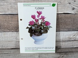 Cyclamen Card #3 Success With House Plants 1985 Single Replacement Fold ... - £2.63 GBP