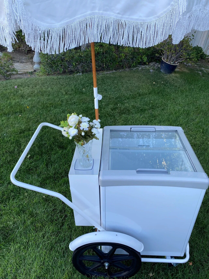 GELATO CART Electric Freezer Cart Frozen Treats Street Cart Gelato Push ... - $6,810.21