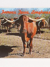 Famous Texas Longhorn Steer Cattle Vintage Postcard Posted Africanada Cattle - £6.22 GBP