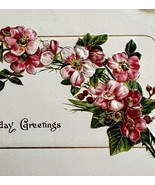 Happy Birthday Greeting Postcard 1909 Pink Flowers Embossed Julius Bien ... - $19.99