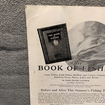 National Geographic November 1919 The Book of Fish Vintage Print AdKG - £9.49 GBP
