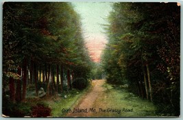 The Grassy Road Orrs Island Maine ME 1907 DB Postcard G5 - £2.00 GBP