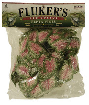 Fluker&#39;s Red Coleus Repta-Vines Green, Red 1ea/6 ft - £18.16 GBP