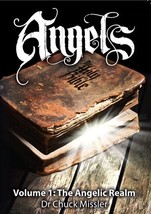 Angels Volume I: The Angelic Realm [DVD] - £15.68 GBP