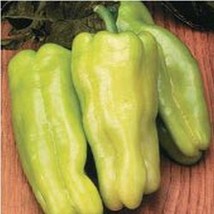 Sweet Havana Sweet Pepper Seeds Gardening Easy Grow USA SHIPPING - $5.60