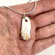 Tampa Bay Fossil Coral Botryoidal Agate Knob Pendant Silver Plated Necklace - £19.98 GBP