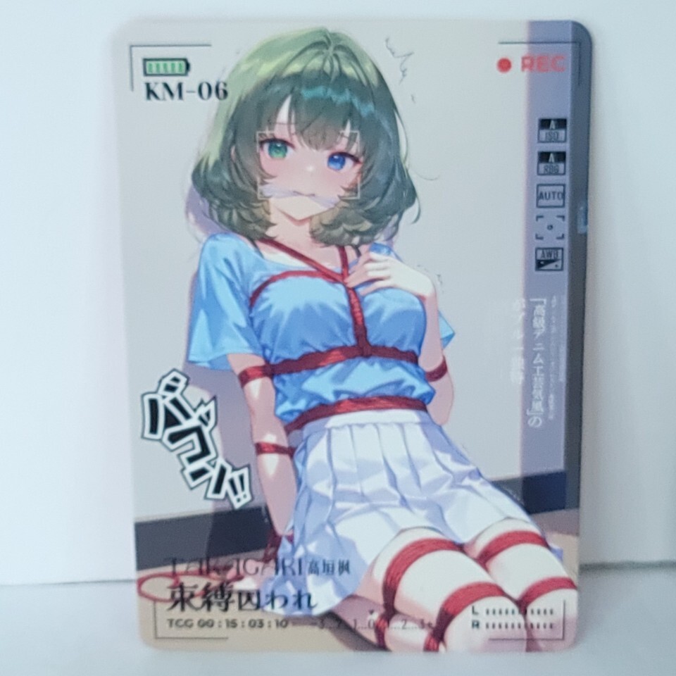 Takagaki Premium Waifu Card Anime Girl Wall Art Oversized Board A5 - $19.34