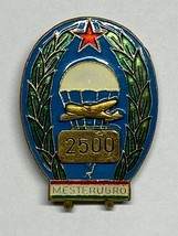 Hungary, Master, Parachutist, Para Wing, Communist Era, 2500 Jumps, Vintage - £34.99 GBP