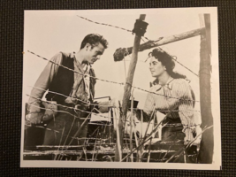 James Dean Photo GIANT  Publicity 1955 8 x 10 BW Photo Elizabeth Taylor ... - €16,85 EUR