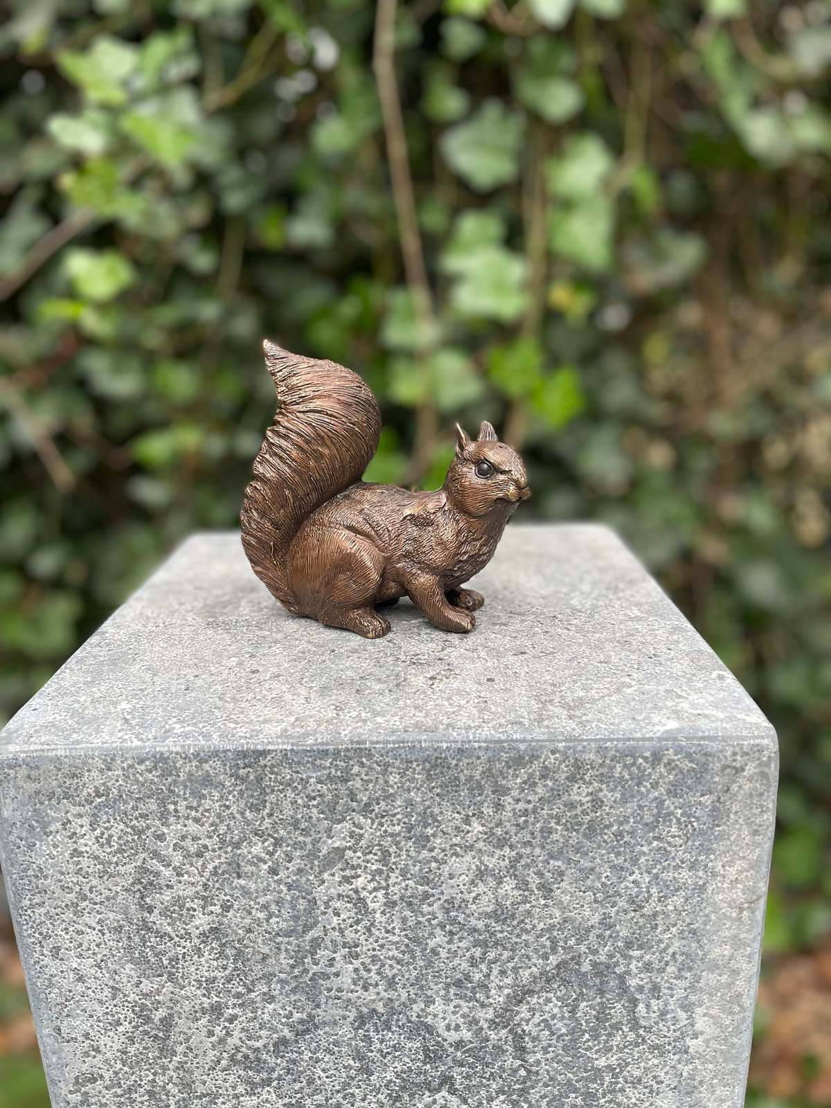 Alert Squirrel – Bronze Sculpture. 12x6x12cm - 0.7Kg - $89.95