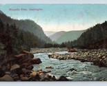 Nisqually River Near Yelm Washington WA 1908 DB Postcard Q3 - $4.90