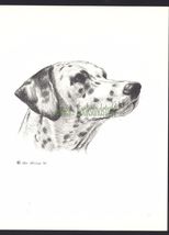 #75 DALMATIAN portrait dog art print * Pen and ink drawing done by Jan J... - $12.50