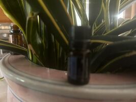 Item image 1 image 1