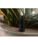 doTERRA DigestZen Essential Oil 5ml 10/28 NEW SEALED - $12.99