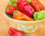 50 Cubanelle Italian Frying Pepper Seeds Fast Shipping - $8.99