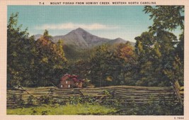 Mount Pisgah Western North Carolina NC Postcard D54 - $2.99