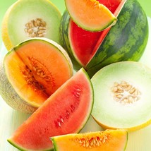 Rare Melon Seed Mix (5) - Grow Your Own Musk Melon/Watermelon, Heirloom Garden S - £6.79 GBP