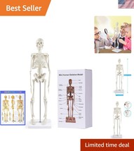 Compact 17.7” Mini Human Skeleton Model - Perfect for Study Decor &amp; Lear... - $1,441.61 MXN