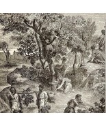 1888 They Could Not Enter Garden Victorian Religious Art Print Bible DWN9F - $736.47 MXN