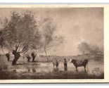Cows Standing in a Marsh Painting by Jean-Baptiste-Camille Corot Postcar... - $2.92