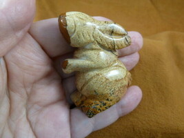(Y-BUN-ST-728) tan Jasper gem BUNNY RABBIT gemstone carving FIGURINE rab... - $17.53