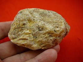 (k-2192) 110 g Rare Kauri tree Gum copal young Amber New Zealand Tane Ma... - $92.39