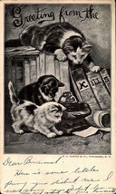 Rare Udb M.L. Samter &amp; Co. POSTCARD- Greetings From The &quot;CATS-KILLS&quot; BK43 - £6.18 GBP