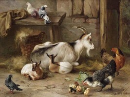 painting Giclee Living Room Decor Goats, chickens and pigeons Printed Canvas - £6.73 GBP+