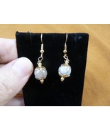 DP1-16o REAL DINOSAUR POOP 10mm bead dangle EARRINGS Utah ancient Dino C... - €14,49 EUR