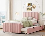 Merax Velvet Upholstered Platform, Wood Frame Trundle, Twin Size Bed, Pink - $449.99