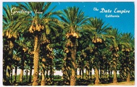 Postcard Date Groves Laden With Fruit Coachella Valley Date Empire California - $2.96