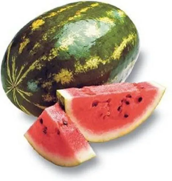 100 Crimson Sweet Watermelon Citrullus Lanatus Fruit Melon Seeds Fresh - £7.92 GBP