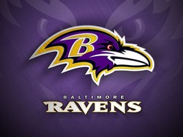 NFL Football Baltimore Ravens Mens Embroidered Polo Shirt XS-6XL, LT-4XLT New - £21.01 GBP+