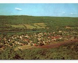 Delaware Valley from Point Peter Port Jervis New York NY UNP Chrome Post... - $3.51