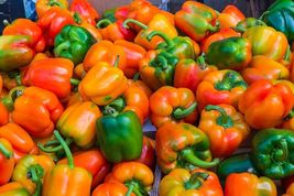 100 Seeds Orange King Bell Pepper - £11.36 GBP