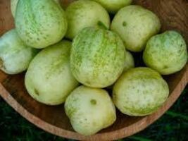 Organic Heirloom Crystal Apple Cucumber Seeds - $4.95
