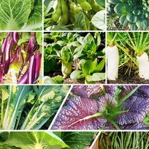 10 Asian Vegetable Seeds Mix Combination Pack Exotic Unique Variety Mix Planting - £31.36 GBP