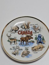 Vintage Canada&#39;s Wild Animals Milk Glass Gold Trim Wall Plate Moose Wolf Buffalo - £14.93 GBP