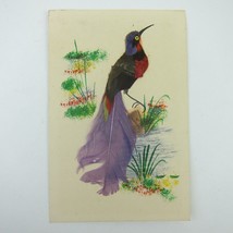 Postcard Bird Black &amp; Purple Real Feathers 3D Handmade Mexico Antique 1910s - £15.61 GBP