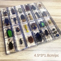 20 Pcs Insect in Resin Specimen Bugs Collection Paperweights Arachnid Re... - $62.90
