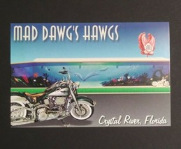 Mad Dawgs Hawgs Harley Davidson FL Dealership Advertising Motorcycle Postcard a - £3.15 GBP