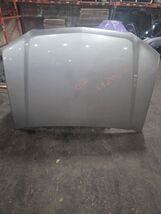 Hood With Body Cladding Fits 02-04 AVALANCHE 1500 1438671 - $2,108.65 MXN
