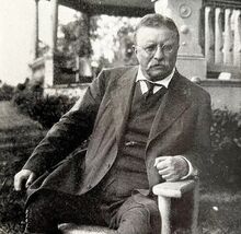 Col Theodore Roosevelt Print 1919 Oyster Bay NY President Collectibles D... - $24.99