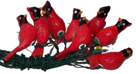 Ed&#39;s Variety Store 21 Cardinal String Lights Lenght 25ft. - £31.86 GBP